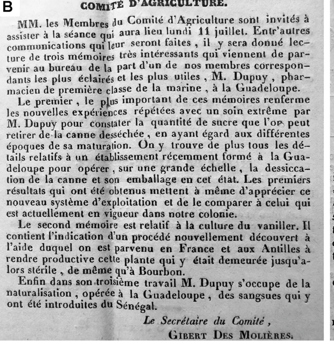 Avis du Comite d'Agriculture de Bourbon dans la Feuille Hebdomadaire de juillet 1842, annoncant le memoire de M. Dupuy sur la culture du vanillier.
