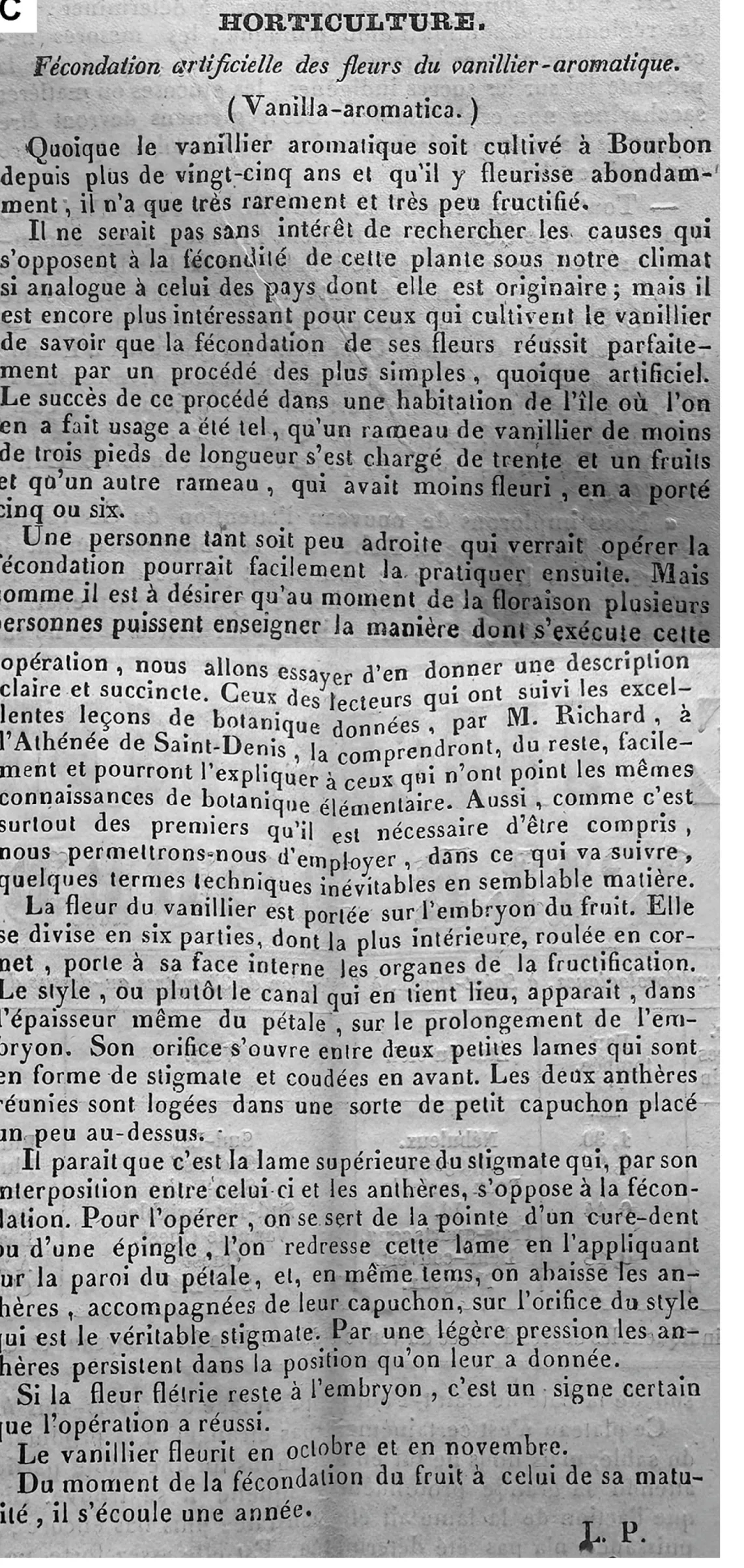 Article Fecondation artificielle des fleurs de vanillier-aromatique paru dans la Feuille Hebdomadaire du 30 aout 1843, signe L. P.