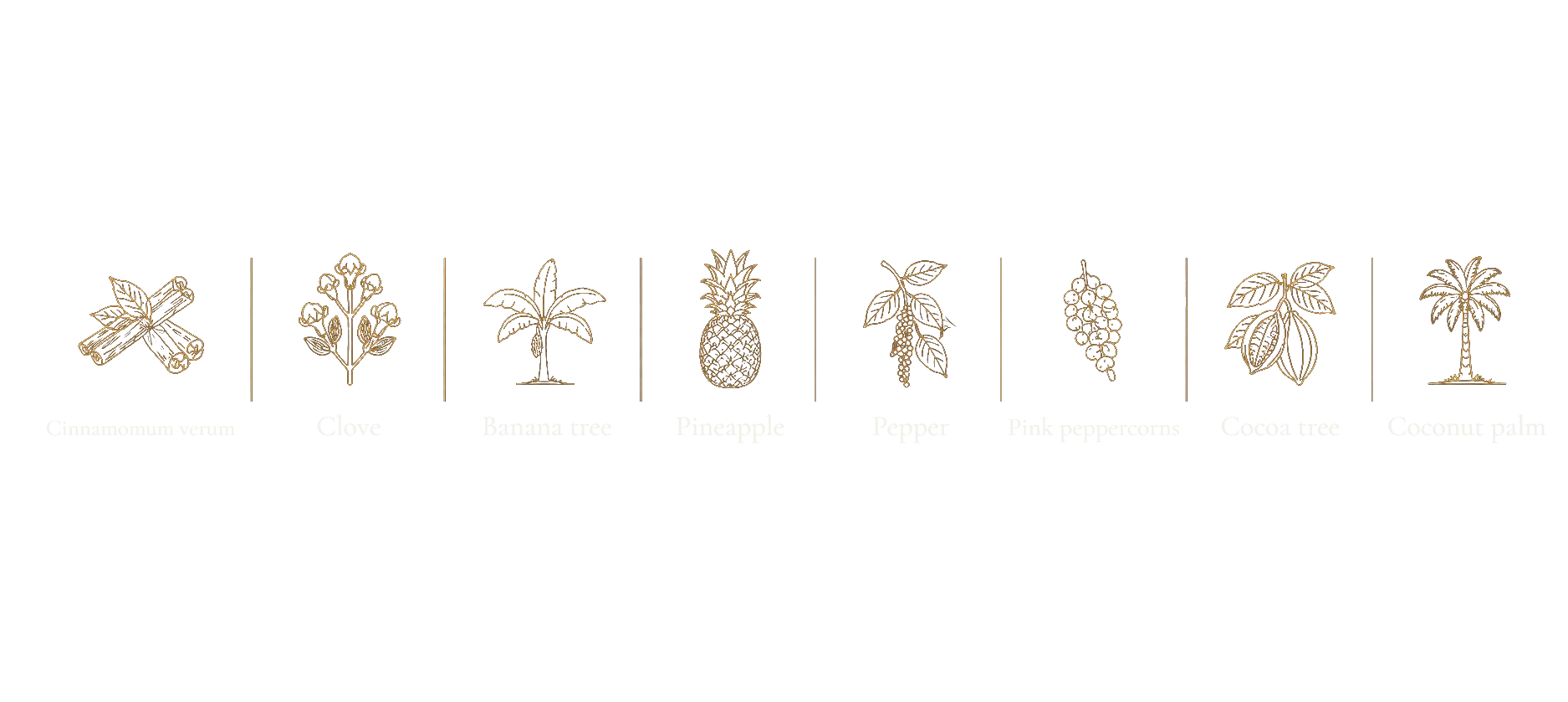 Cinnamomum verum, Clove, Banana tree, Pineapple, Pepper, Pink peppercorns, Cocoa tree, Coconut palm