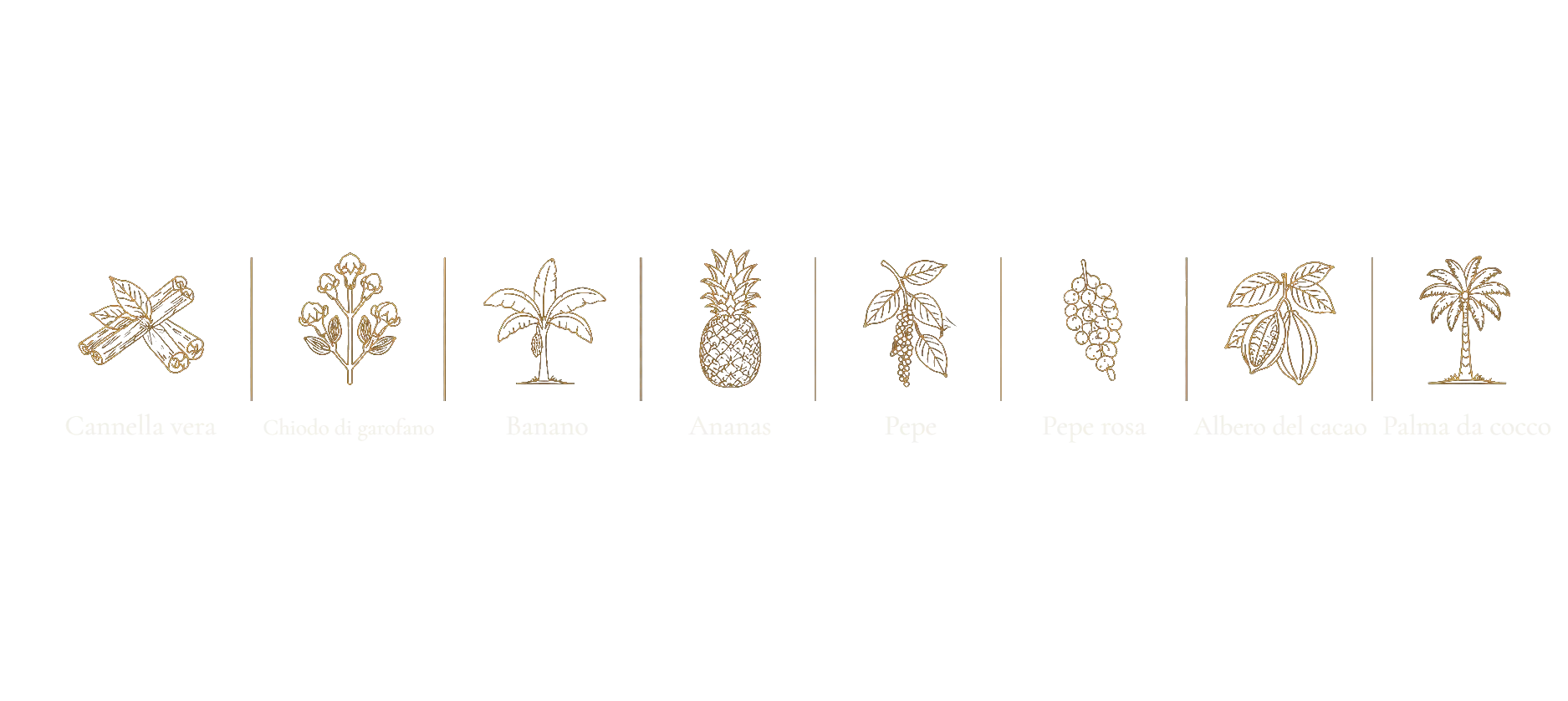 Cannella vera, Chiodo di garofano, Banano, Ananas, Pepe, Pepe rosa, Albero del cacao, Palma da cocco