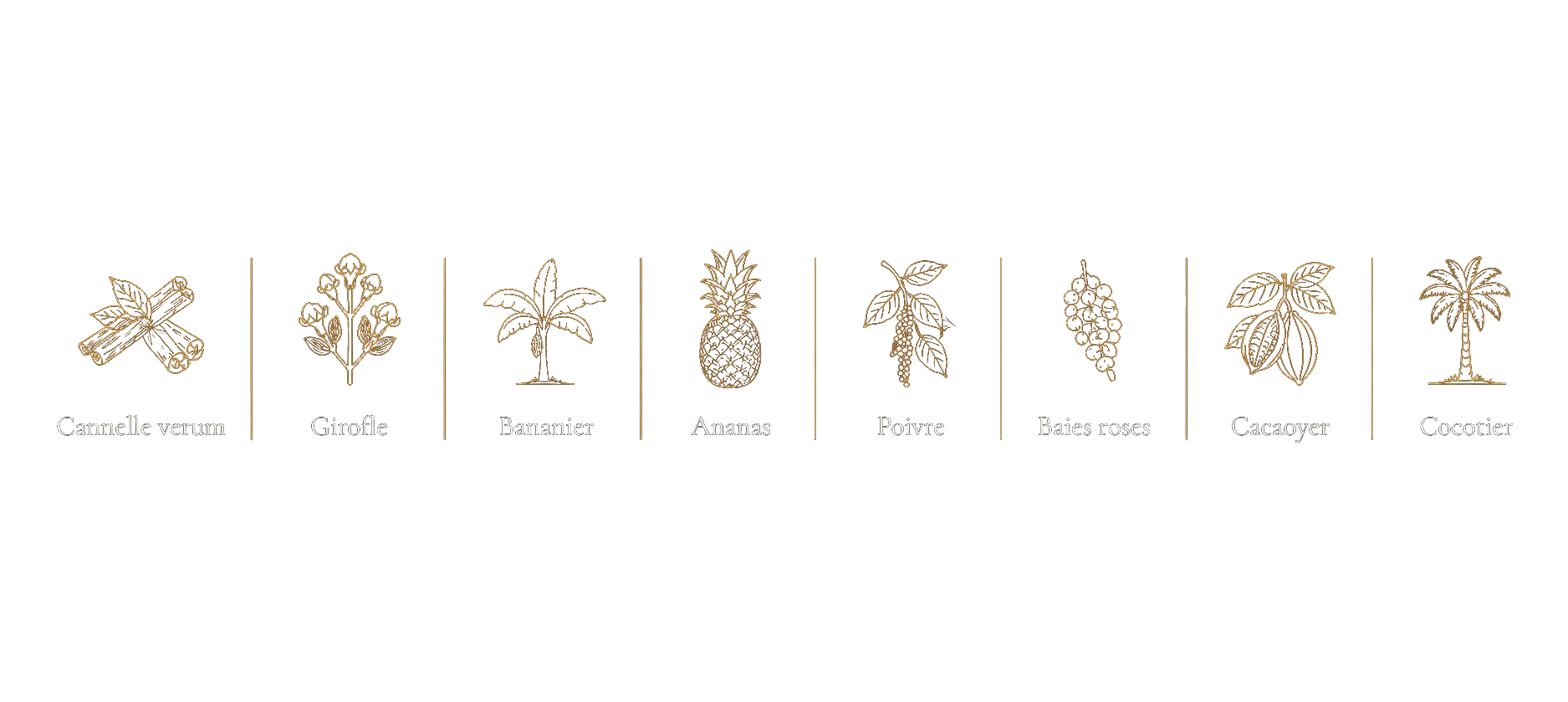 Cannelle verum, Girofle, Bananier, Ananas, Poivre, Baies roses, Cacaoyer, Cocotier