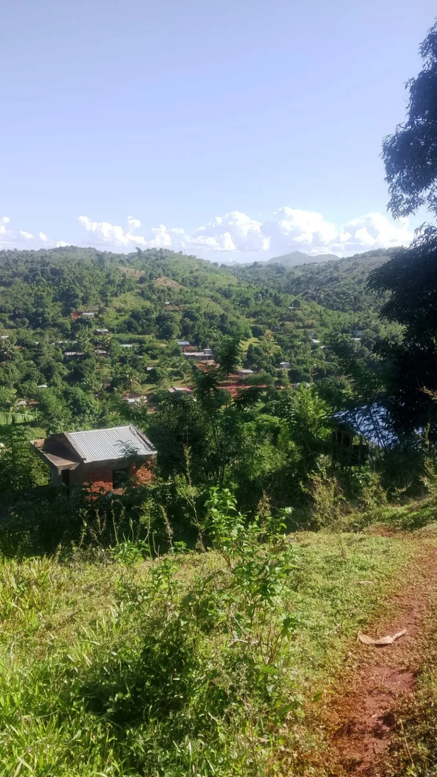 Vallée du Nord-Est de Madagascar, village et parcelles cultivées sous les reliefs boisés